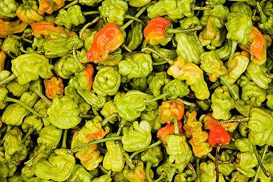 《漫威蜘蛛侠》仍是美国销量最高的超英游戏